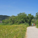 Hunde am Hopfensee