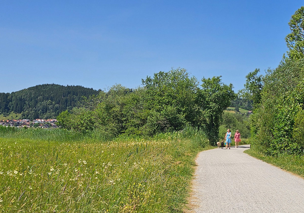 Hunde am Hopfensee