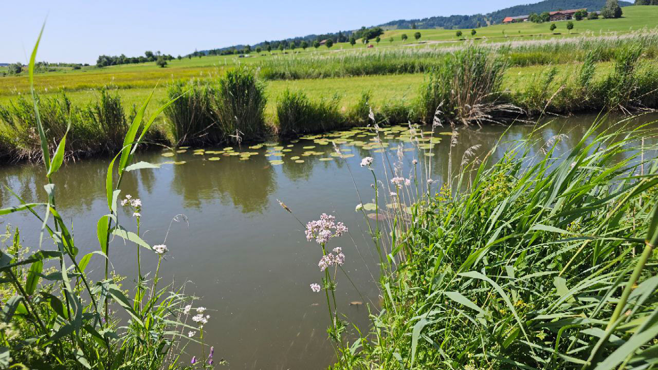 rundwanderweg-radweg-hopfensee-1