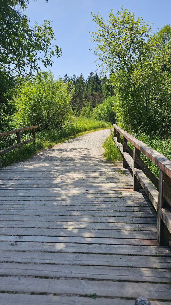 rundwanderweg-radweg-hopfensee-bruecke