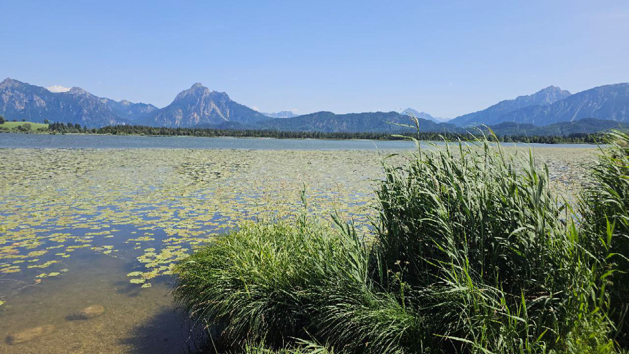 rundwanderweg-radweg-hopfensee-seerosen